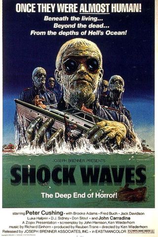 Shock Waves