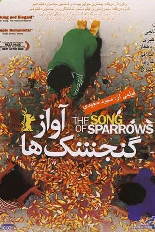 A Canção dos Pardais, diretor Majid Majidi * Melhores Filmes