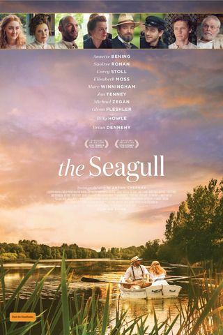 The Seagull