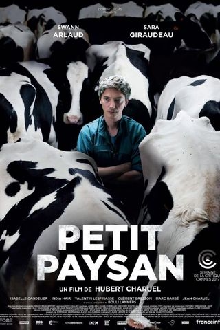 Petit Paysan