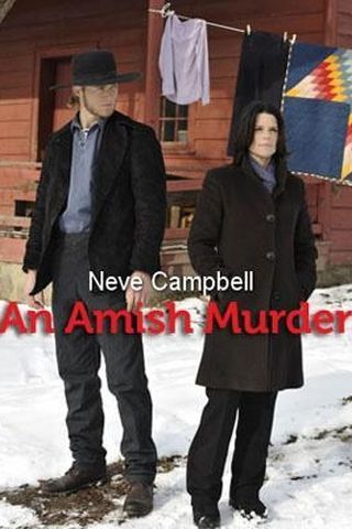 An Amish Murder