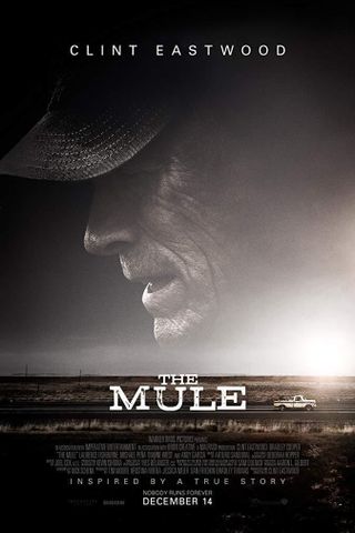 The Mule