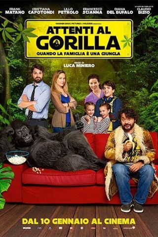 Attenti al Gorilla