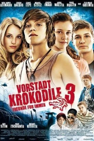 Vorstadtkrokodile 3