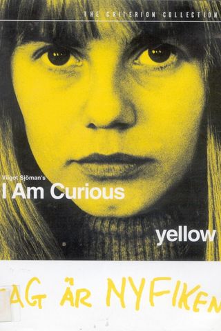 Eu Sou Curiosa - Amarelo