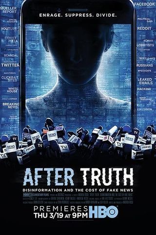 After Truth: Disinformation and the Cost of Fake News