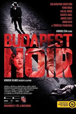 Budapest Noir