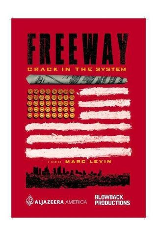 Freeway: Crack in the System