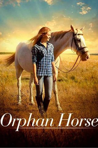 Orphan Horse