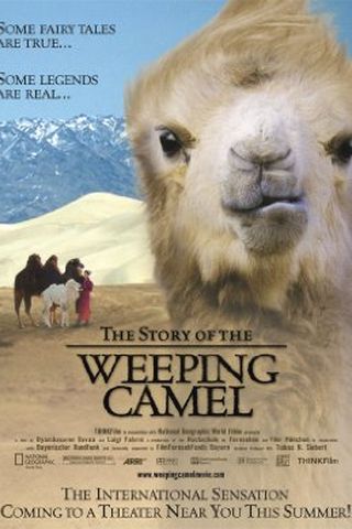 The Story of the Weeping Camel