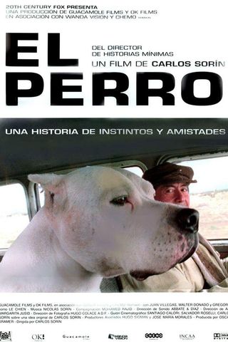 O Cachorro