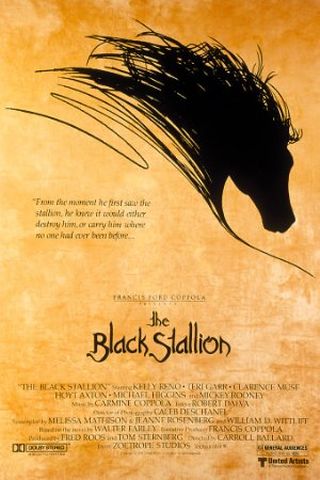 The Black Stallion