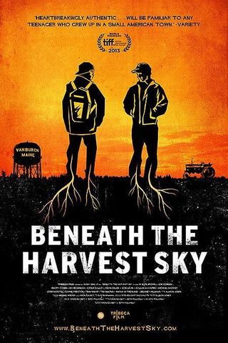 Beneath the Harvest Sky