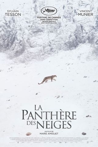 La Panthère des Neiges