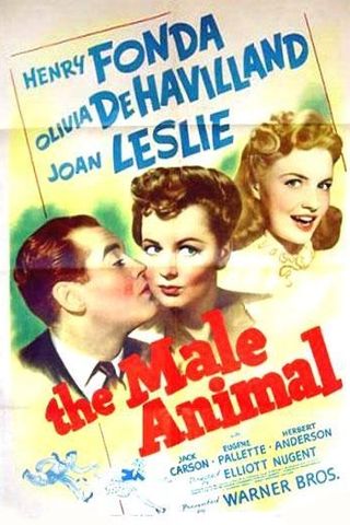 The Male Animal
