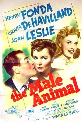 The Male Animal