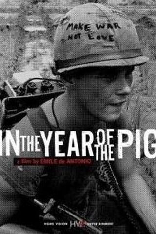 No Ano do Porco