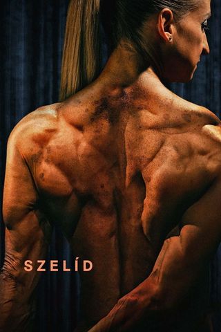 Szelíd