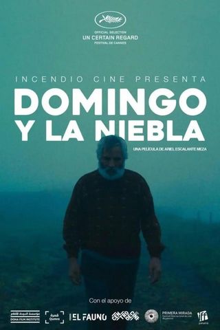 Domingo y la Niebla