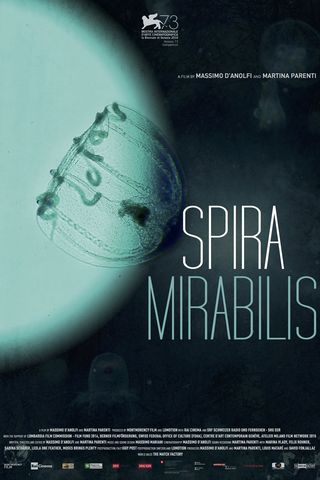 Spira Mirabilis