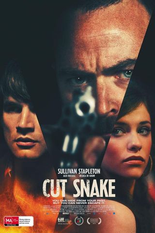 Cut Snake