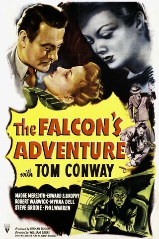 The Falcon's Adventure