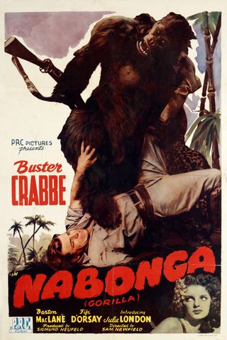 Nabonga, o Gorila
