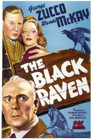 The Black Raven