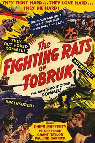 Os Ratos de Tobruk