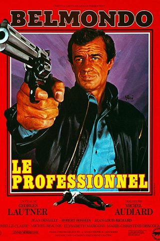 The Professional