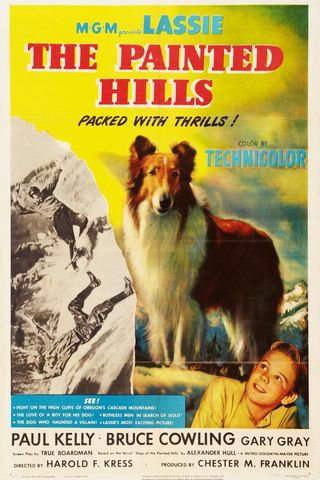 Lassie: O Herói da Montanha