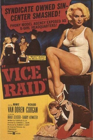 Vice Raid