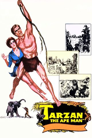 Tarzan, o Filho das Selvas