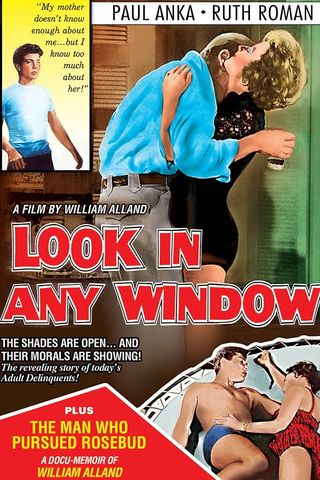 Look in Any Window