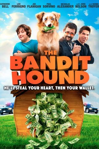 The Bandit Hound