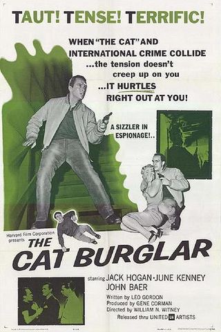 The Cat Burglar