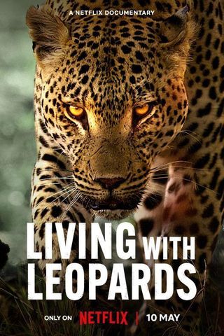 Living with Leopards