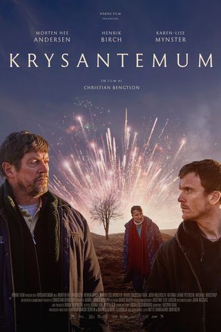 Krysantemum