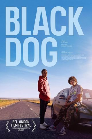 Black Dog