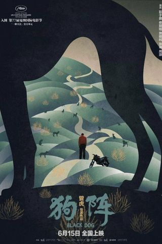 O Cão Preto