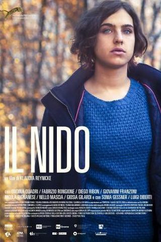 O Ninho