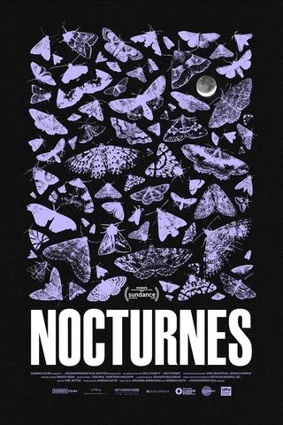 Nocturnes