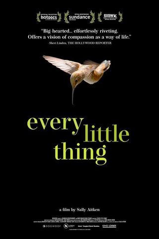 Every Little Thing