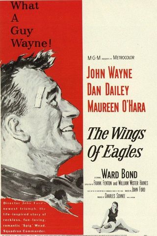 The Wings of Eagles