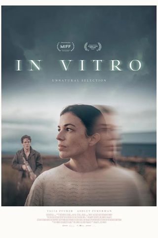 In Vitro