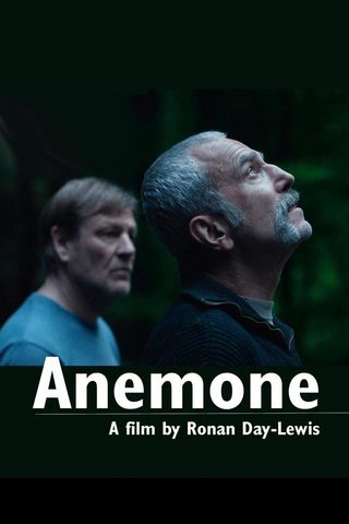 Anemone