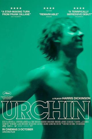 Urchin