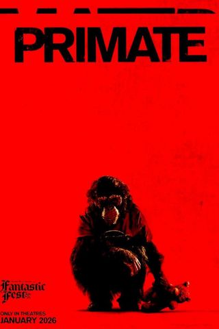 Primate