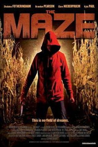 The Maze