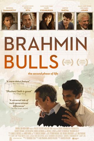 Brahmin Bulls